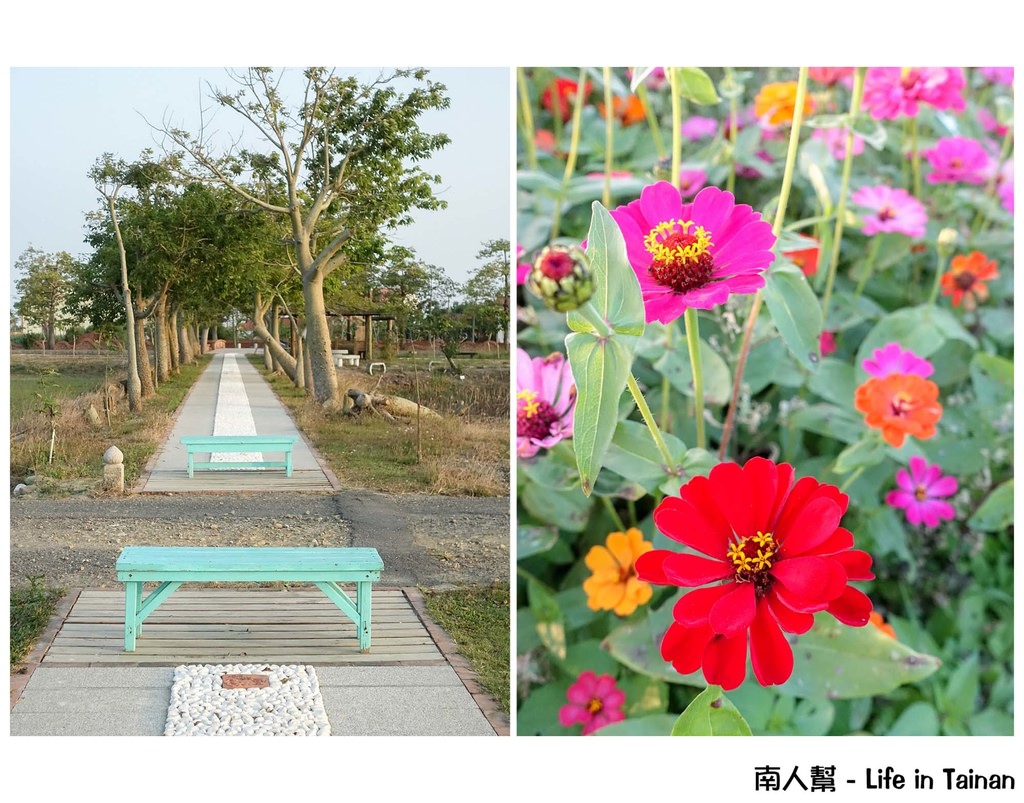 台南一日遊 純樸懷舊小城鎮 一次走訪鹽水必去景點 吃鹽水意麵順道週邊逛逛 鹽水一日遊 南人幫