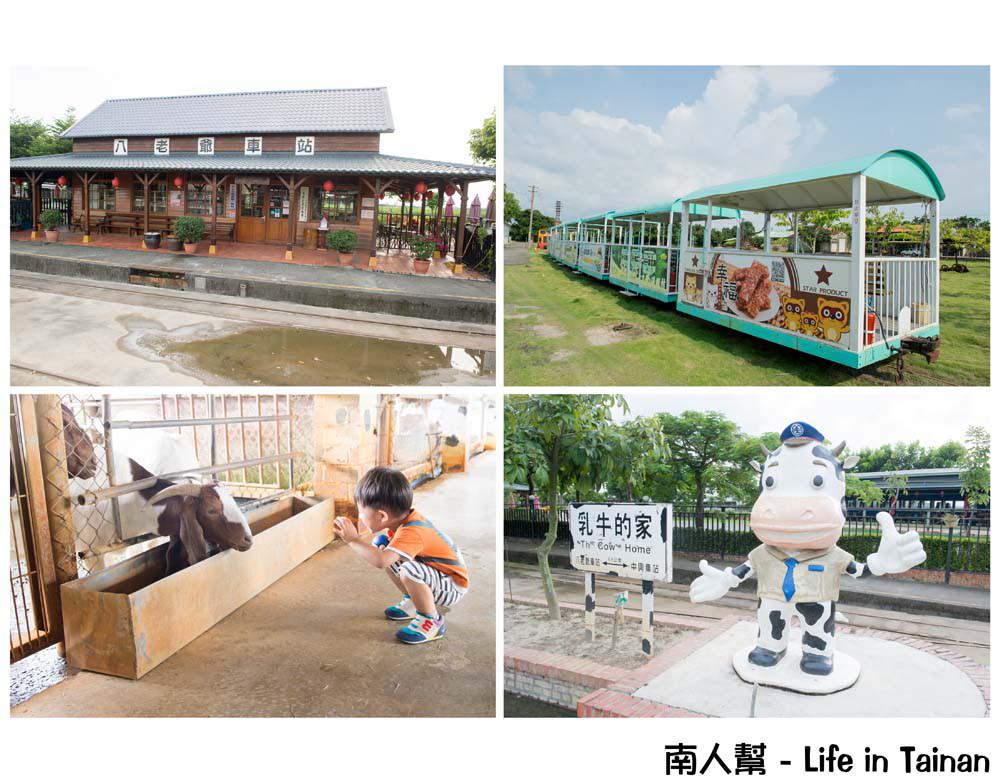 台南柳營 景點 體驗鐵道文化 搭乘五分車 欣賞兩旁柳營鄉純樸農村景色 八老爺車站 乳牛的家 南人幫